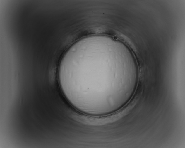 X0000100320018200806191013