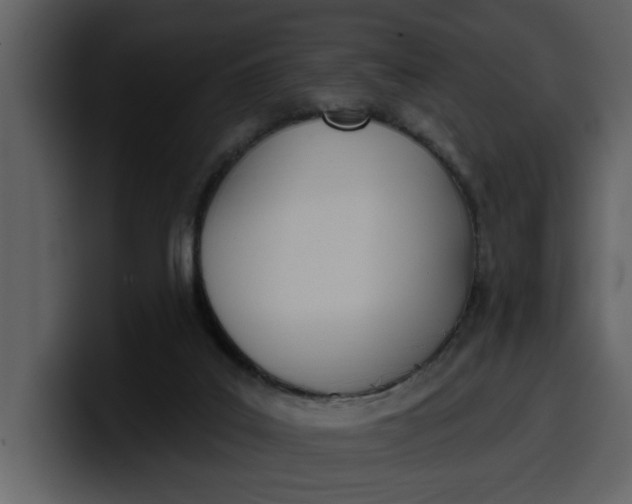 X0000100320019200806191013