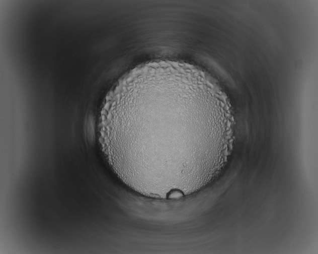 X0000100320022200806191013