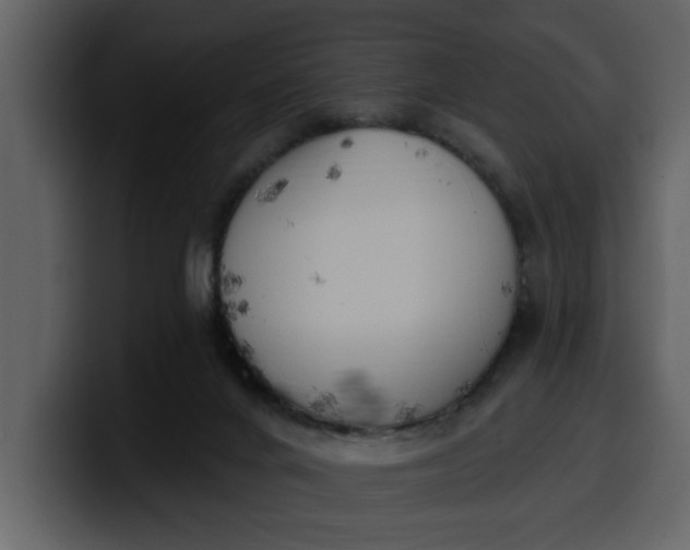 X0000100320024200806191013