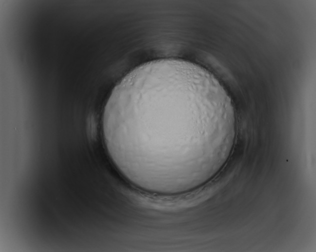 X0000100320026200806191013