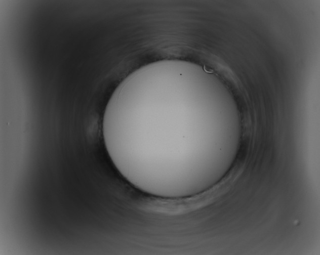 X0000100320029200806191012