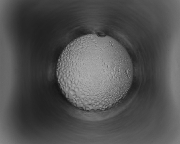 X0000100320030200806191012