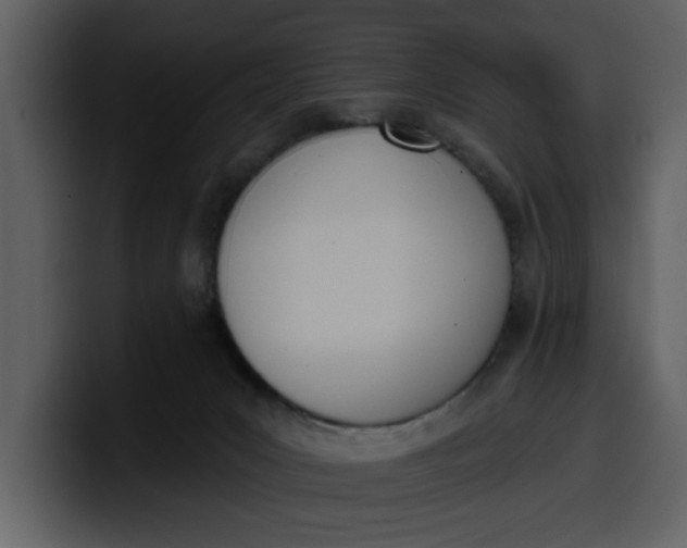 X0000100320031200806191012