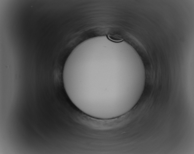 X0000100320035200806191012