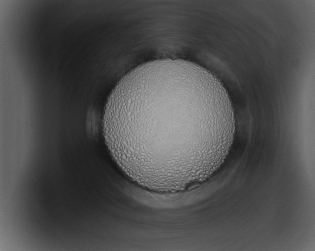 X0000100320038200806191012