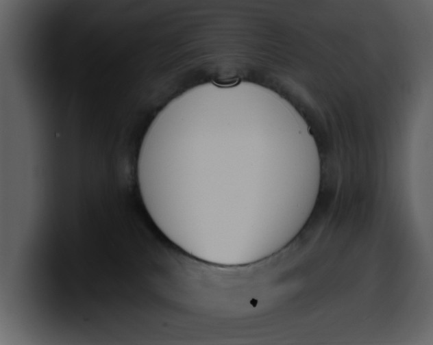 X0000100320039200806191012