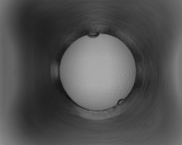 X0000100320042200806191012