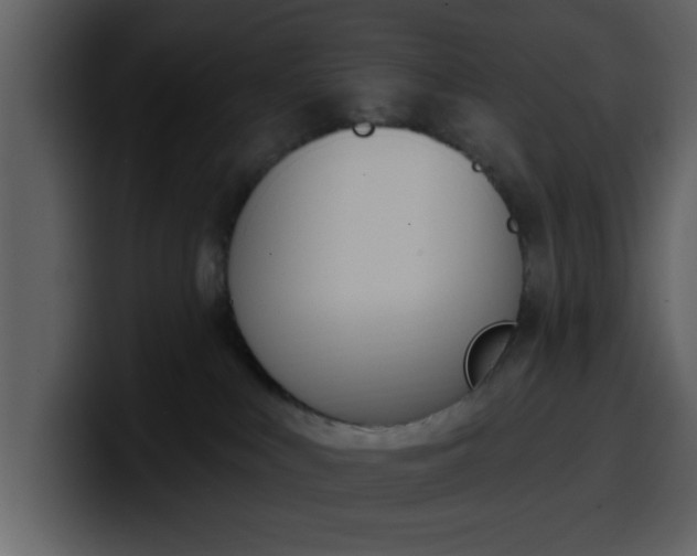 X0000100320043200806191012