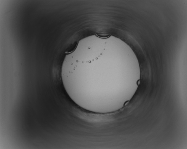 X0000100320044200806191012