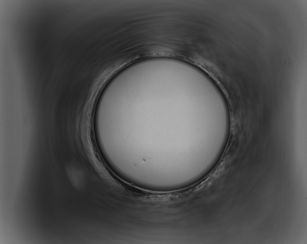 X0000100320049200806191012