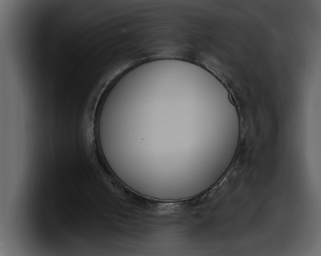 X0000100320050200806191012