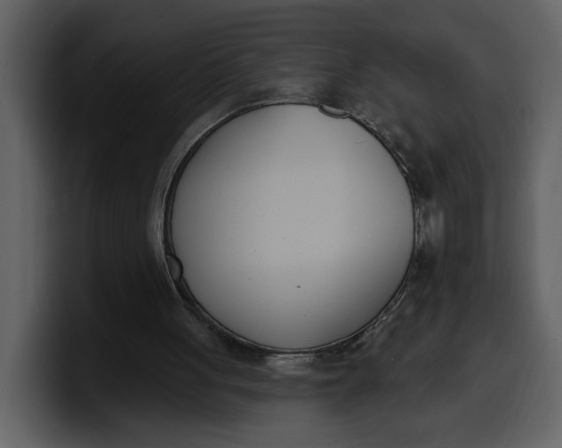 X0000100320051200806191012