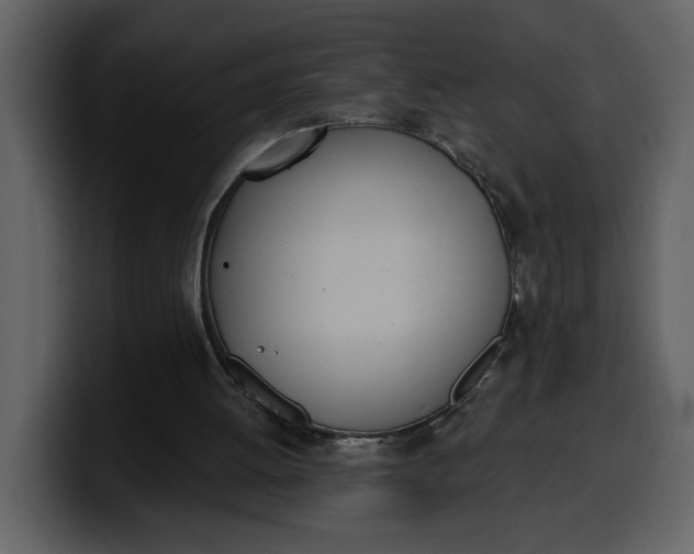 X0000100320052200806191012