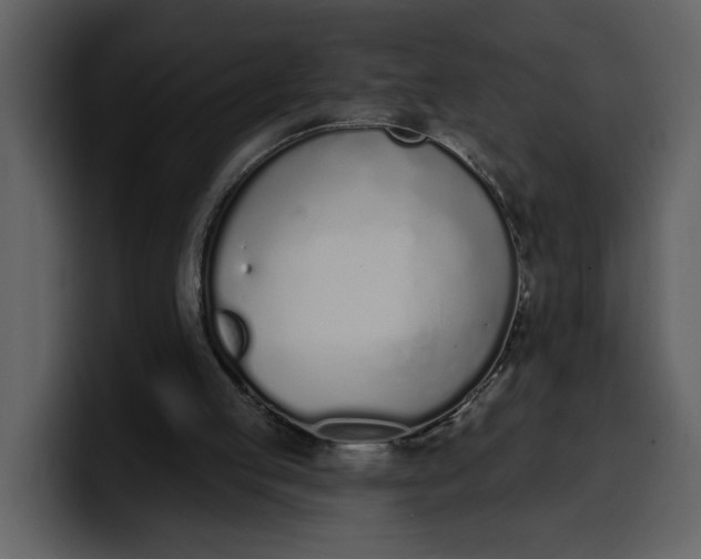 X0000100320053200806191012