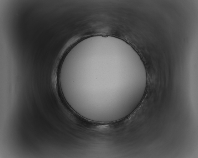 X0000100320054200806191012