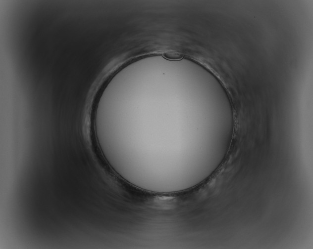 X0000100320055200806191012