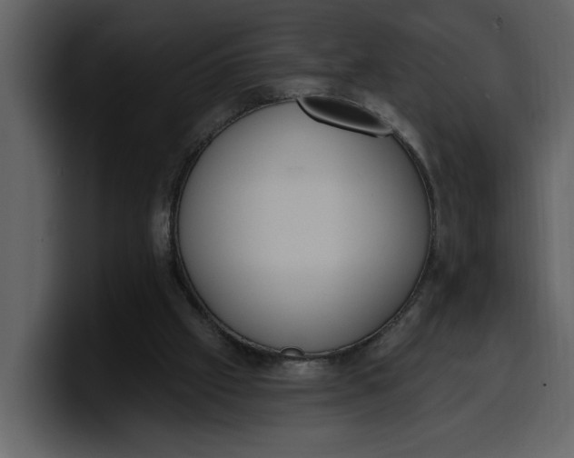 X0000100320057200806191012