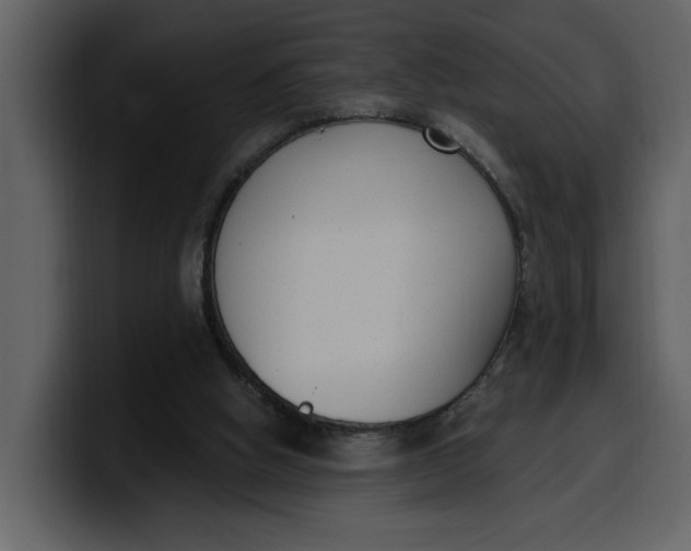 X0000100320058200806191012