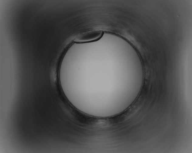 X0000100320060200806191012