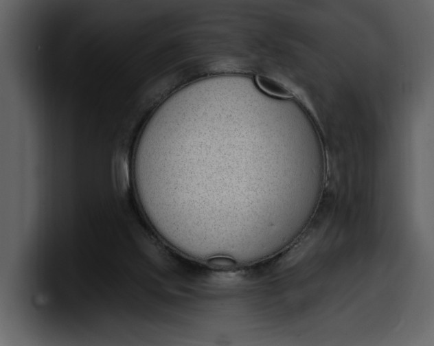 X0000100320061200806191012