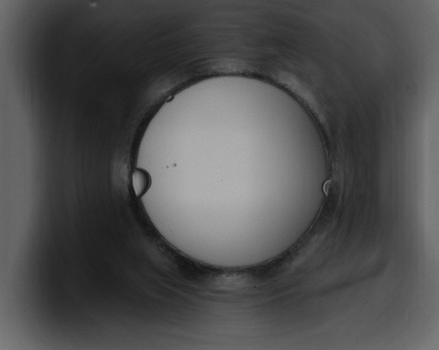 X0000100320063200806191012