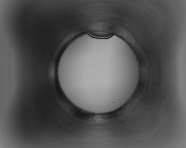 X0000100320064200806191012