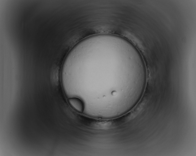 X0000100320065200806191012