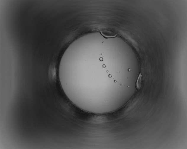 X0000100320067200806191012