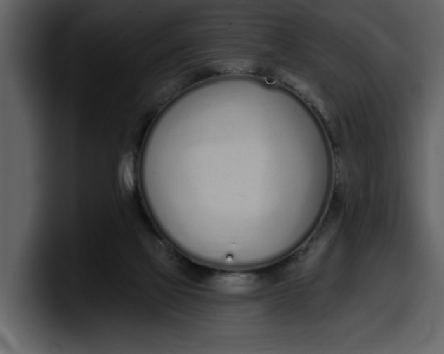 X0000100320069200806191012