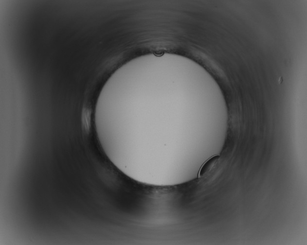 X0000100320070200806191012