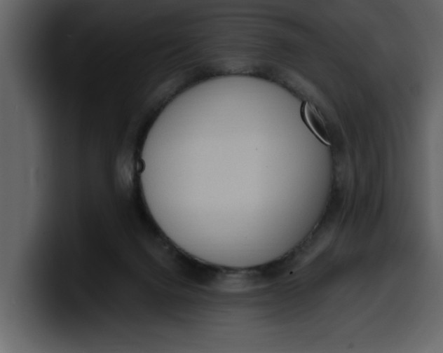 X0000100320072200806191012