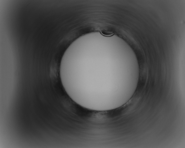 X0000100320078200806191012