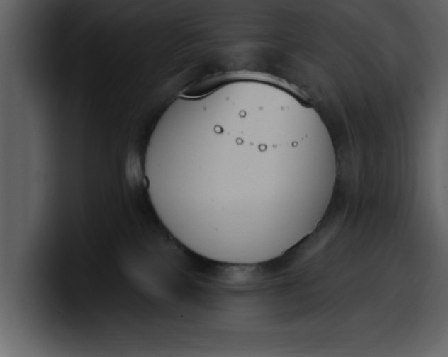 X0000100320089200806191012