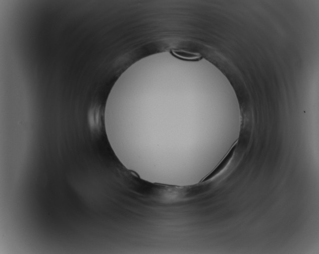 X0000100320094200806191012