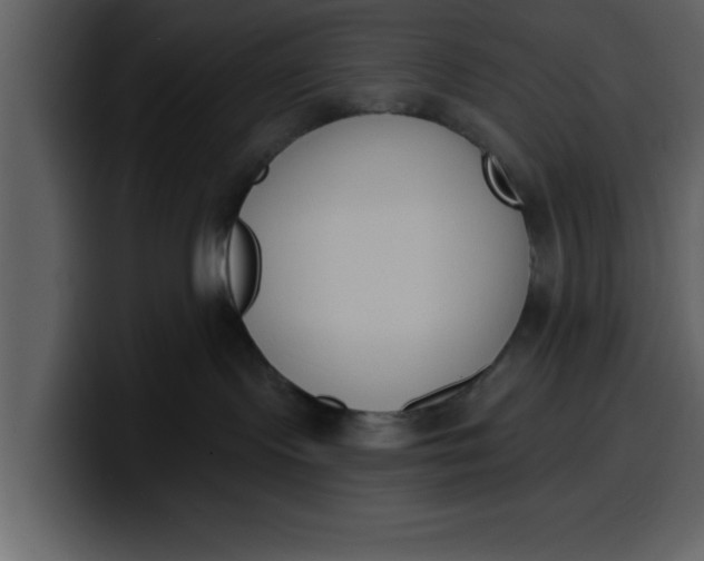 X0000100320095200806191012