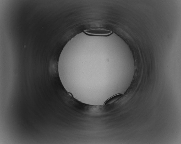 X0000100320096200806191012