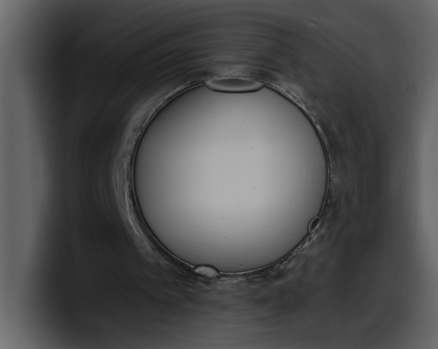 X0000100320097200806191012