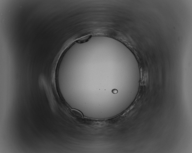 X0000100320099200806191012