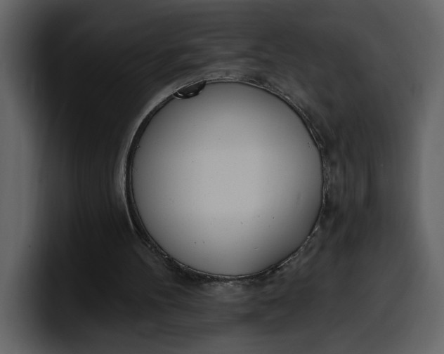 X0000100320100200806191012