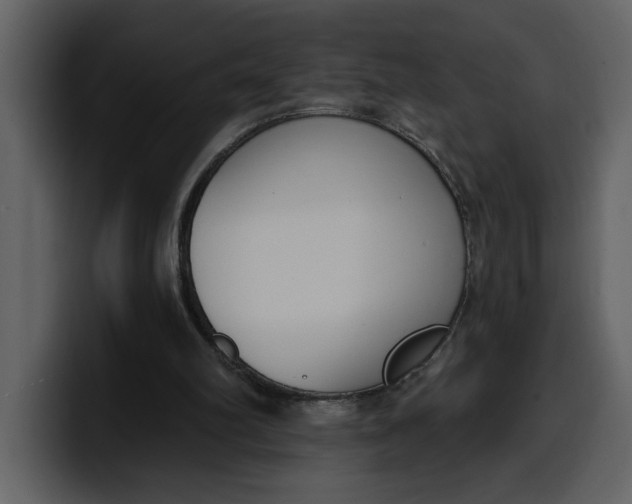 X0000100320102200806191011