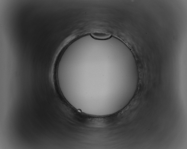 X0000100320104200806191011