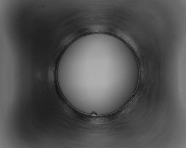 X0000100320105200806191011