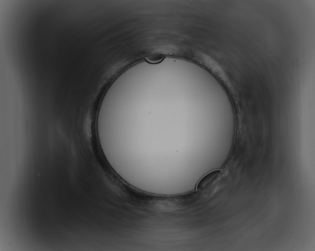 X0000100320106200806191011