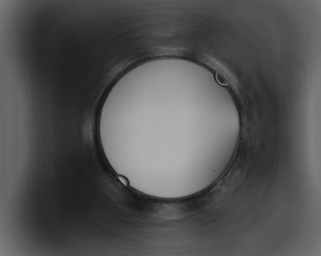 X0000100320107200806191011