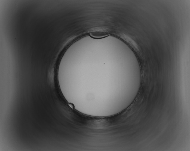 X0000100320108200806191011