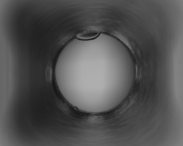 X0000100320109200806191011