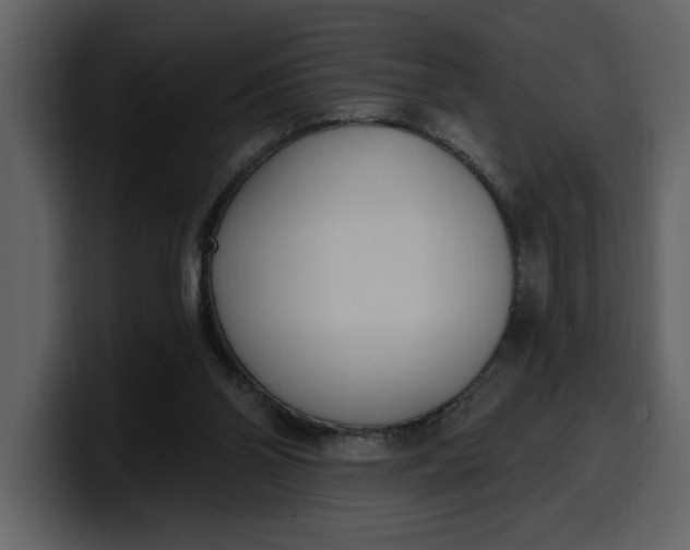 X0000100320110200806191011