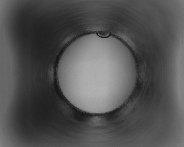 X0000100320111200806191011