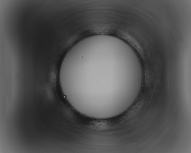 X0000100320113200806191011